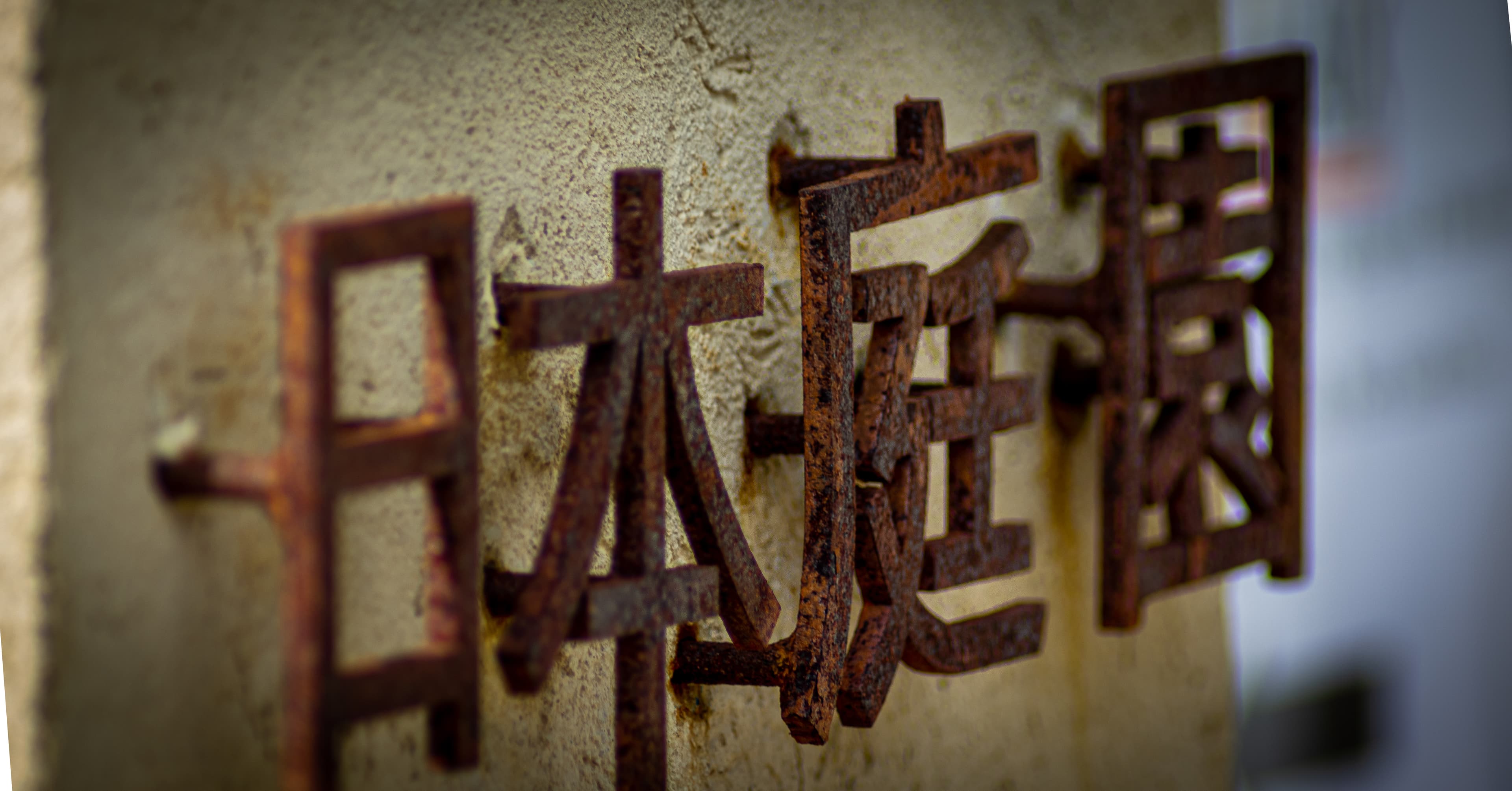 Chien portrait naturel Aix — Strioscopie photographe animalier