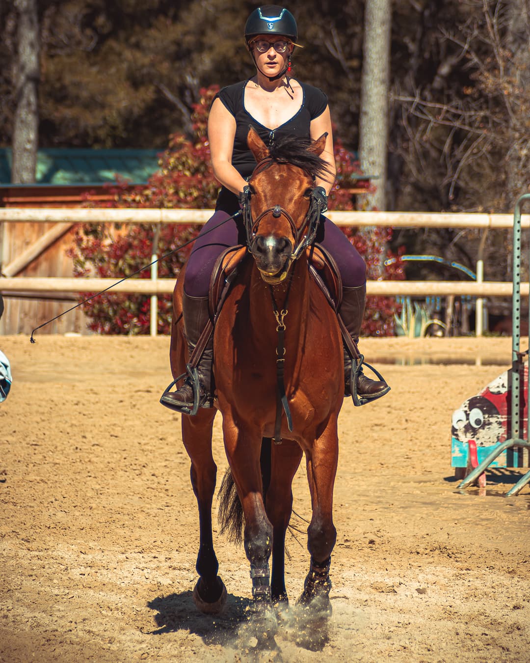 Séance équestre cavalier-cheval — Strioscopie Pertuis