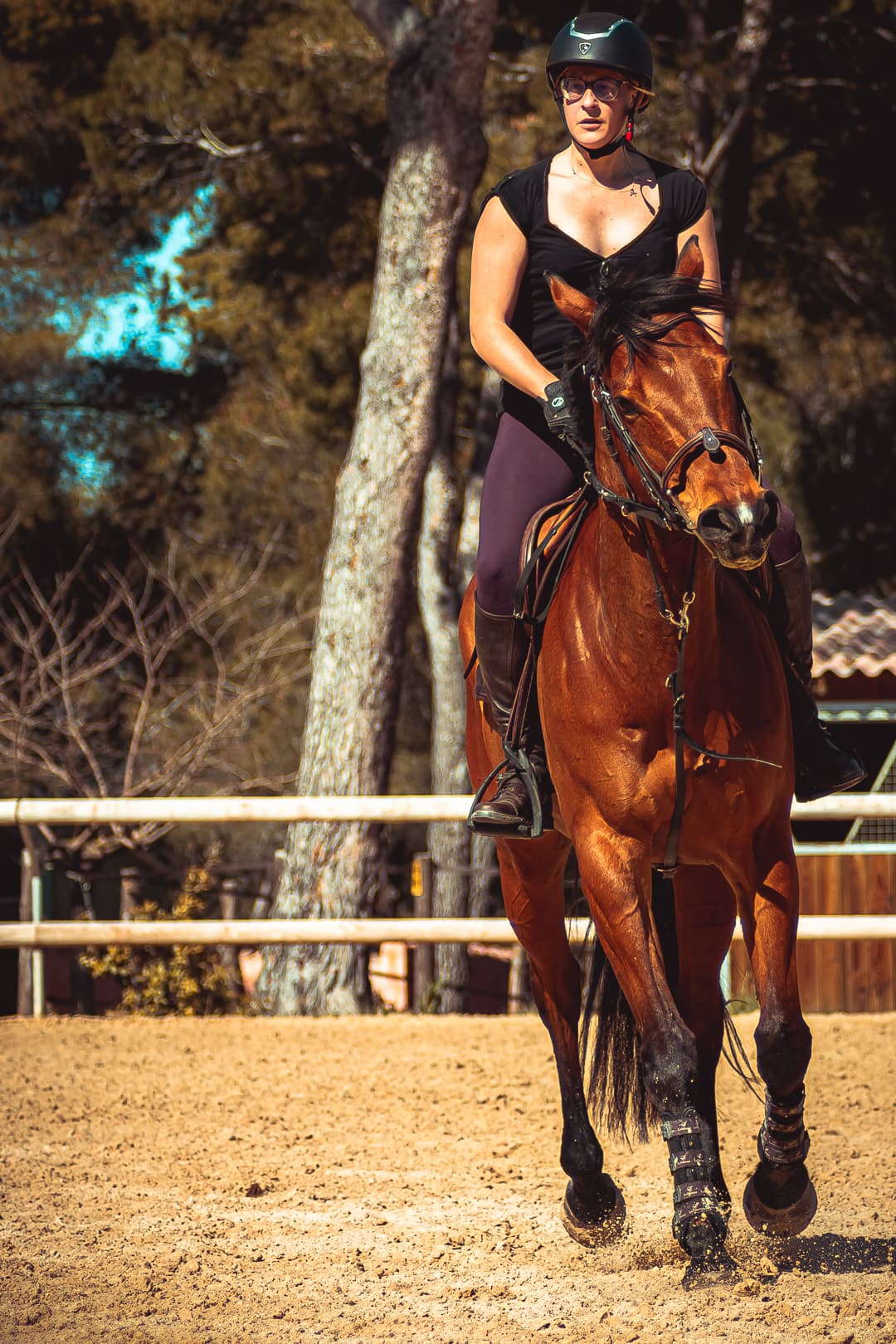 Cavalier et son cheval en lumière naturelle — photographe équestre