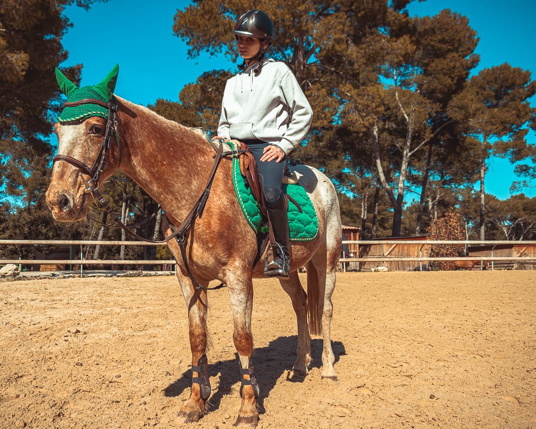 Complicité cavalier-cheval — Strioscopie photographe équestre