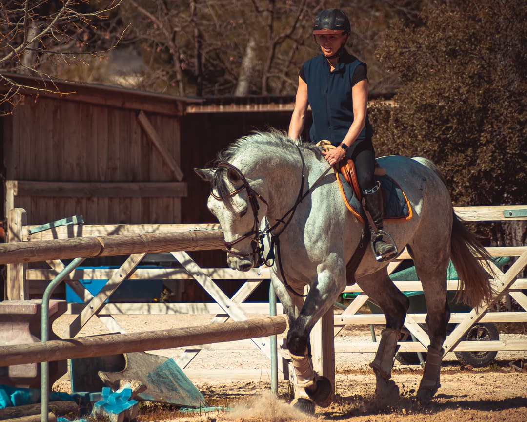 Cheval en action au centre équestre — photographe équestre Provence