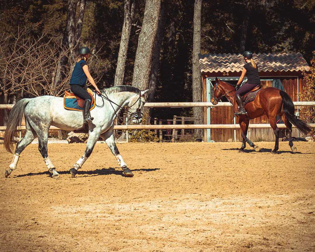 Cavalier et cheval à Ventabren — photographe équestre Aix-en-Provence