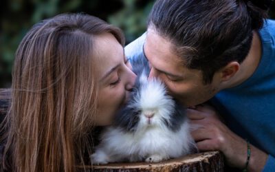 Lapins fusionnels | Photographe NAC Aix-en-Provence