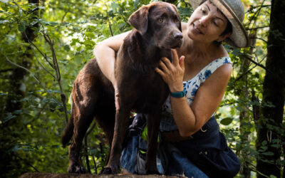 La chocolatine de franche comté | Photographe animalier Aix-en-Provence