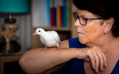 Une Histoire de Résilience : La Colombe