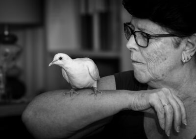 colombe blanche photographe animalier